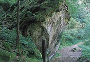 大凍山步道